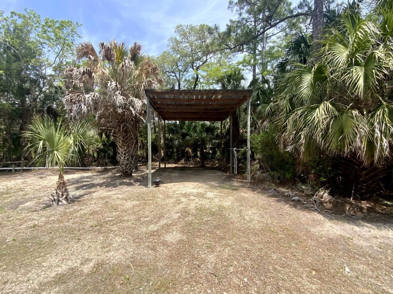 20000 Mossy Hammock Grade , Lamont, FL 32336 Photo