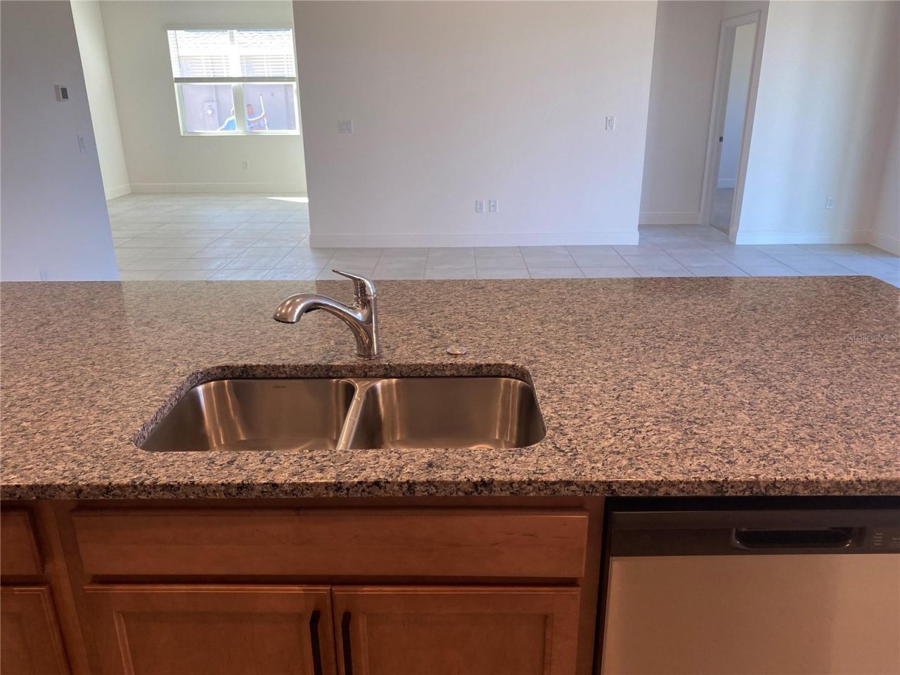 4842 Gilded Jewel Drive, Mount Dora, FL 32757 Photo