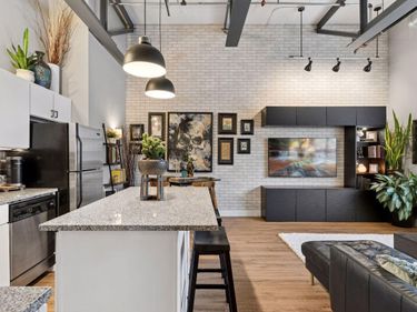 111 E Franklin Avenue, Unit 205, Minneapolis, MN 55404