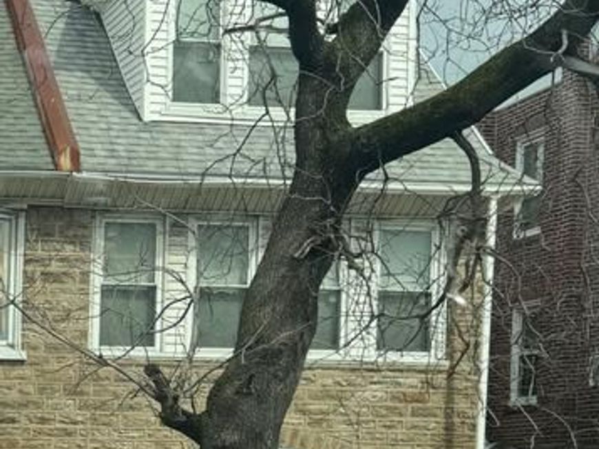 1825 Erlen Road, Elkins Park, PA 19027 Main Photo