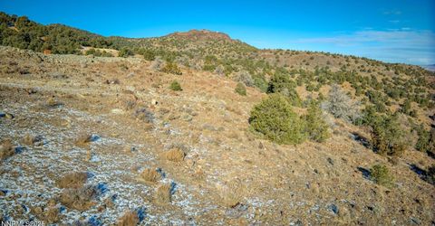 2480 Lousetown Road, Reno, NV 89521 Photo