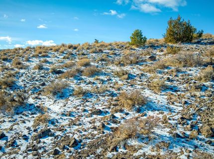 2480 Lousetown Road, Reno, NV 89521 Photo