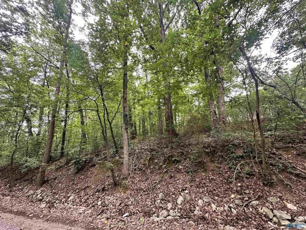 Lot 24 Oakhill Drive NW, Cullman, AL 35055