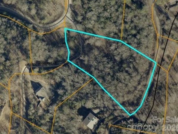 0 Fiddlers Mountain Road , Whittier, NC 28789