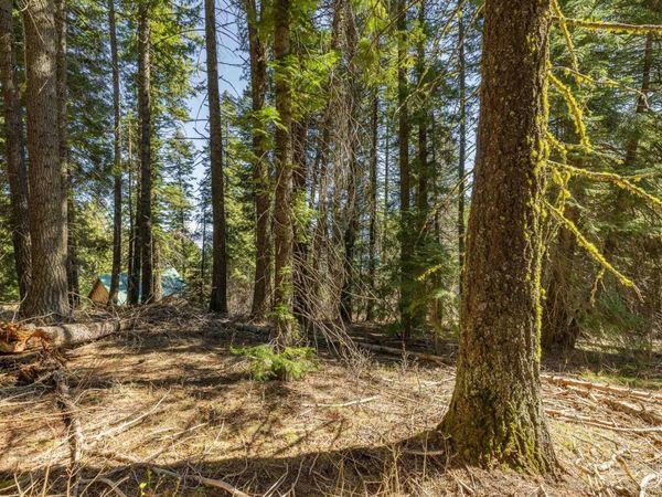 44 Burnt Wagon Tr, Donnelly, ID 83615