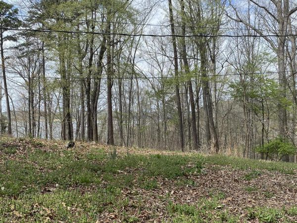 Lot 429 Mayflower Lane, Dandridge, TN 37725