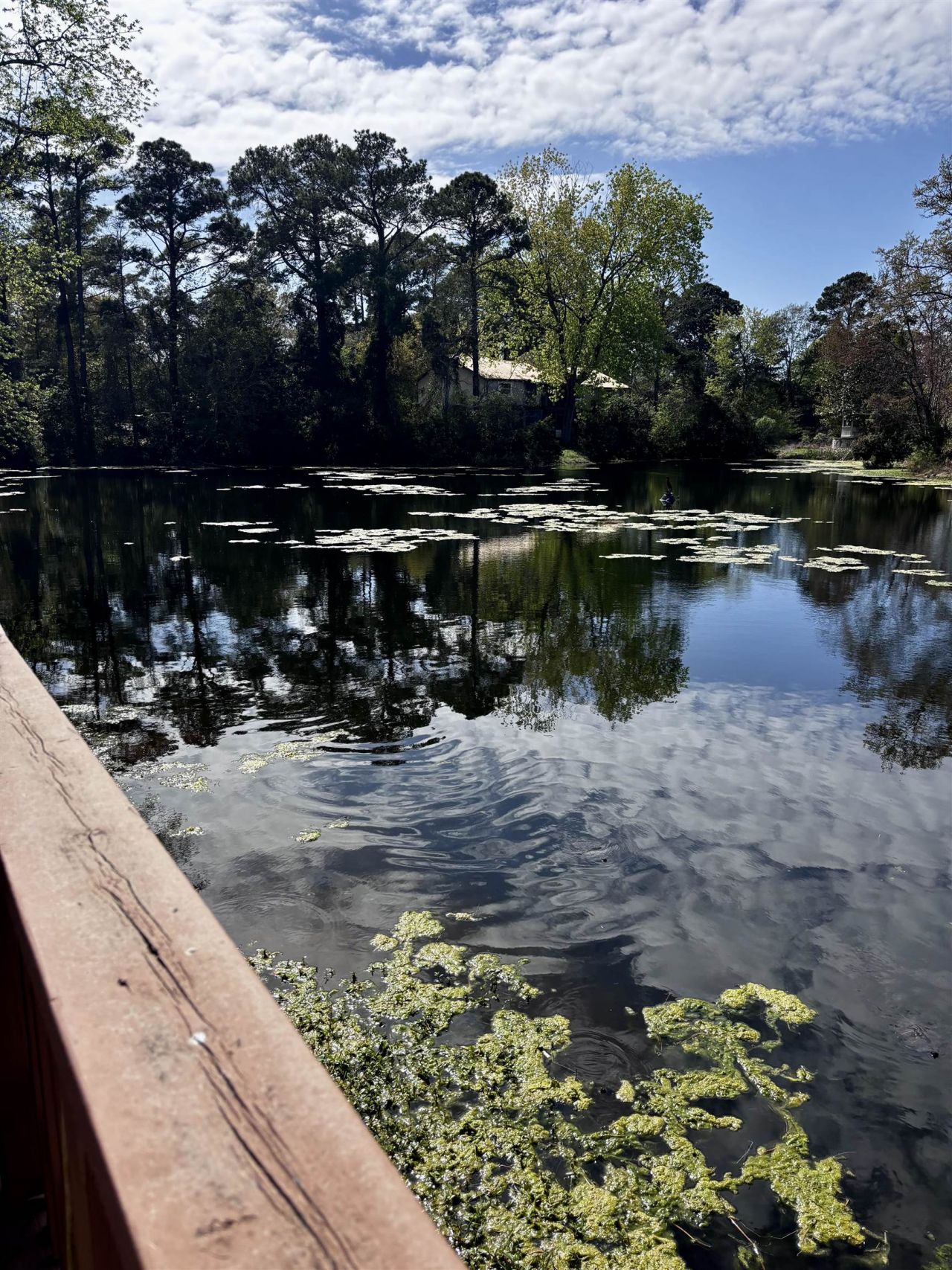 509 67th Ave. N Photo 26