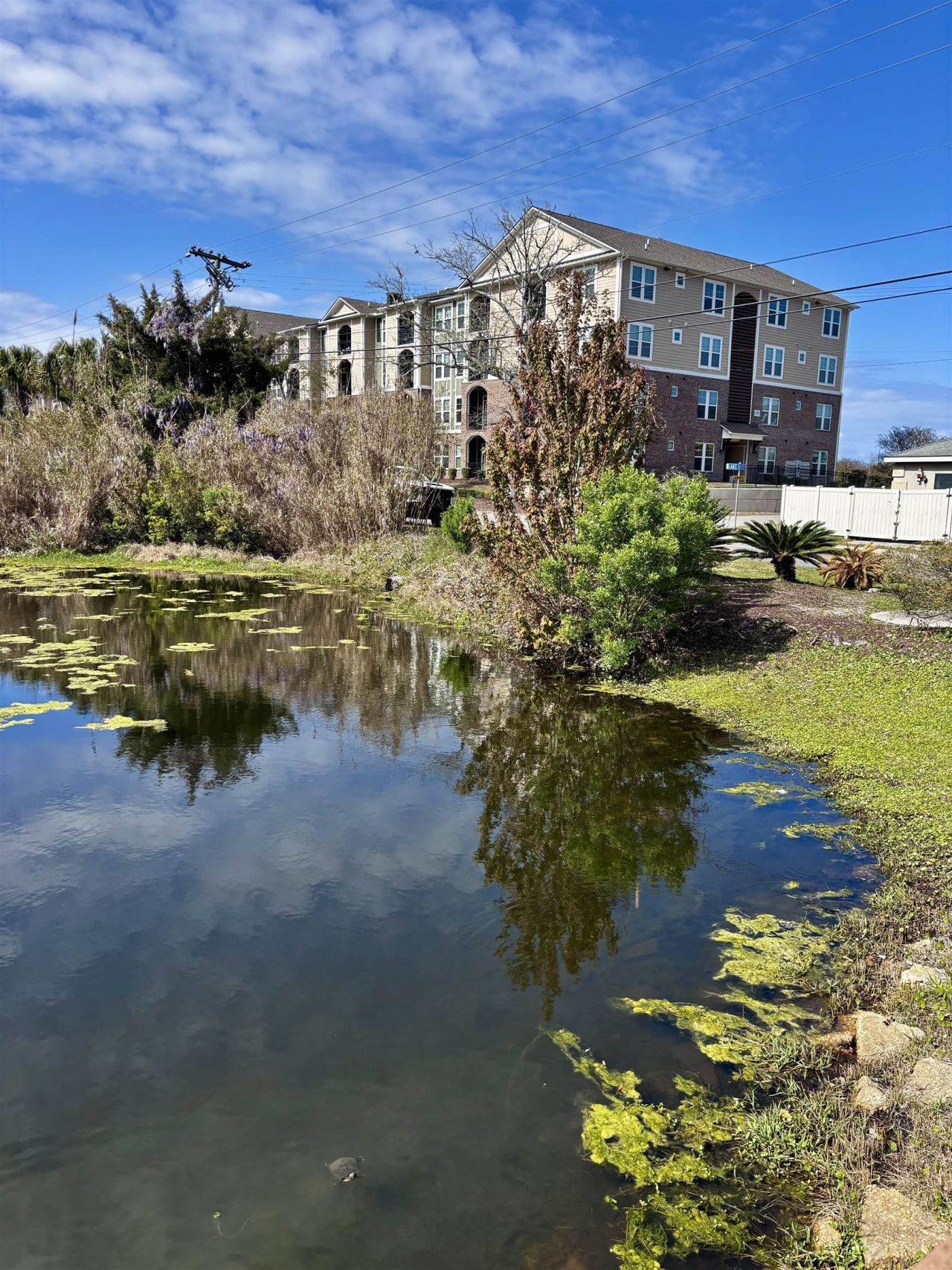 509 67th Ave. N Photo 27