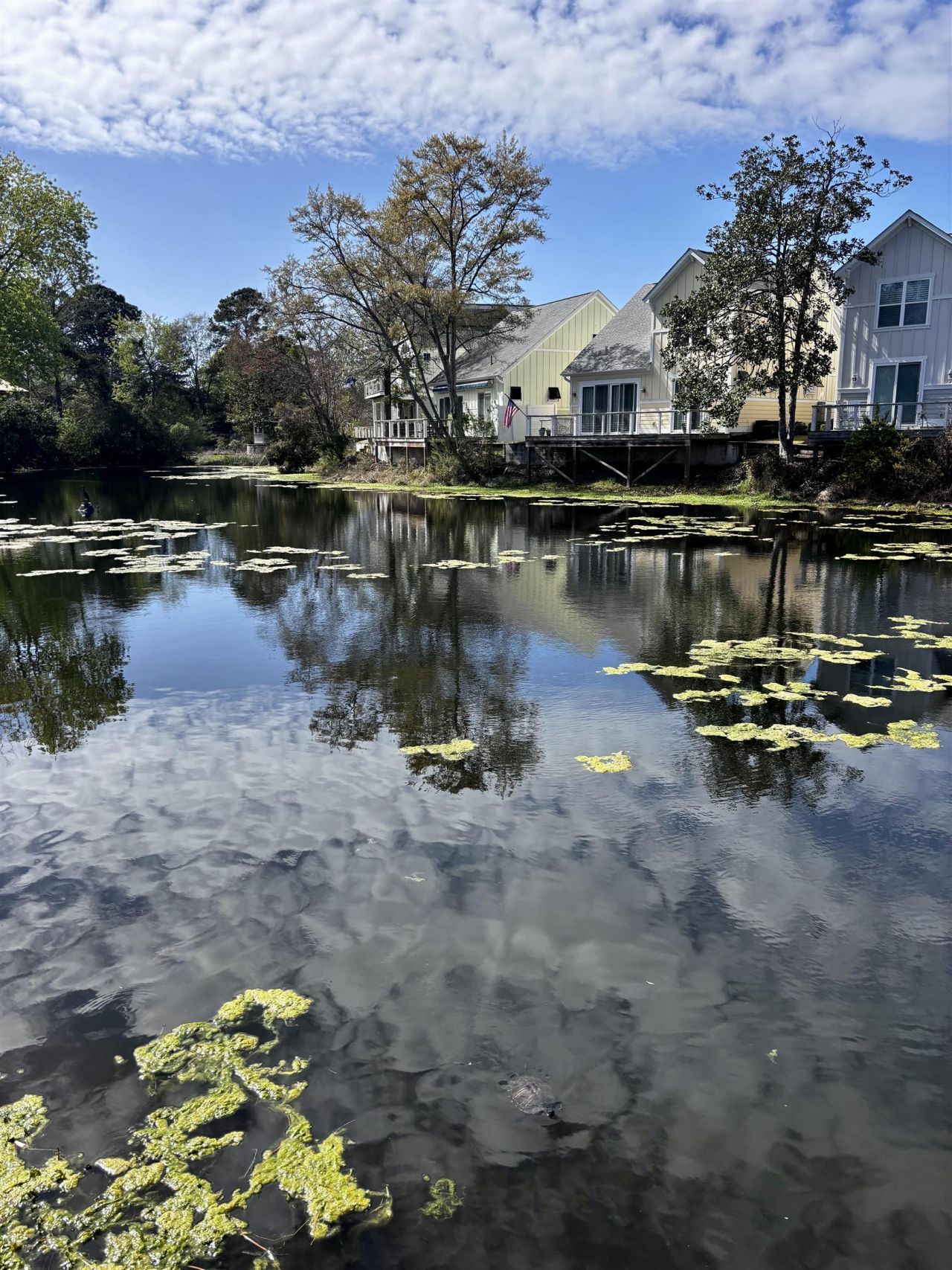 509 67th Ave. N Photo 30