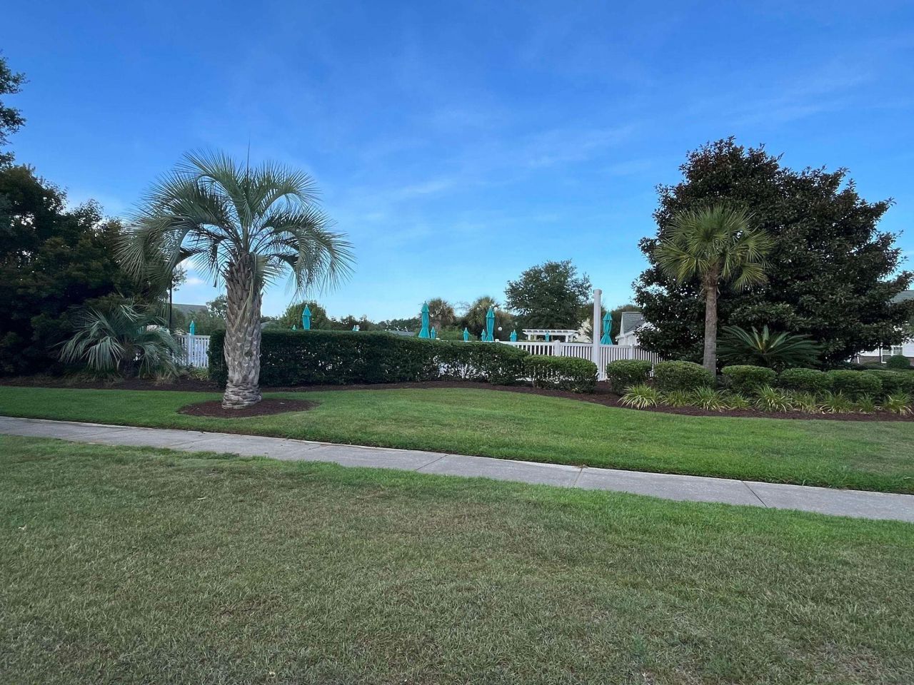 145 Wimbledon Way  Photo 54