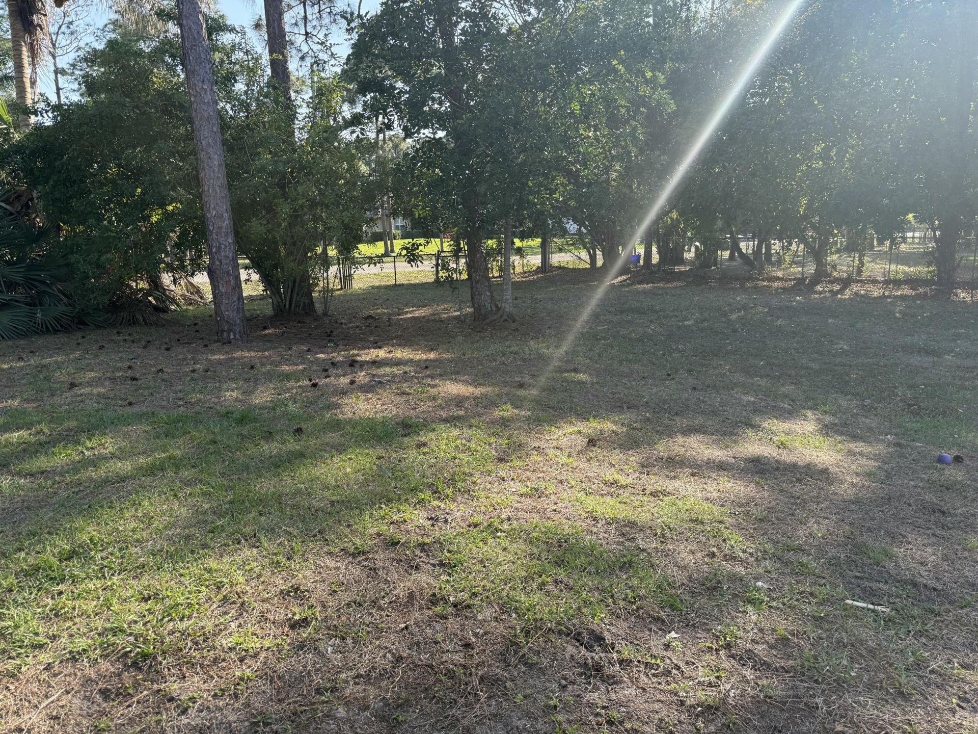 15515 N 94th St Street N, The Acreage, FL 33412 Photo