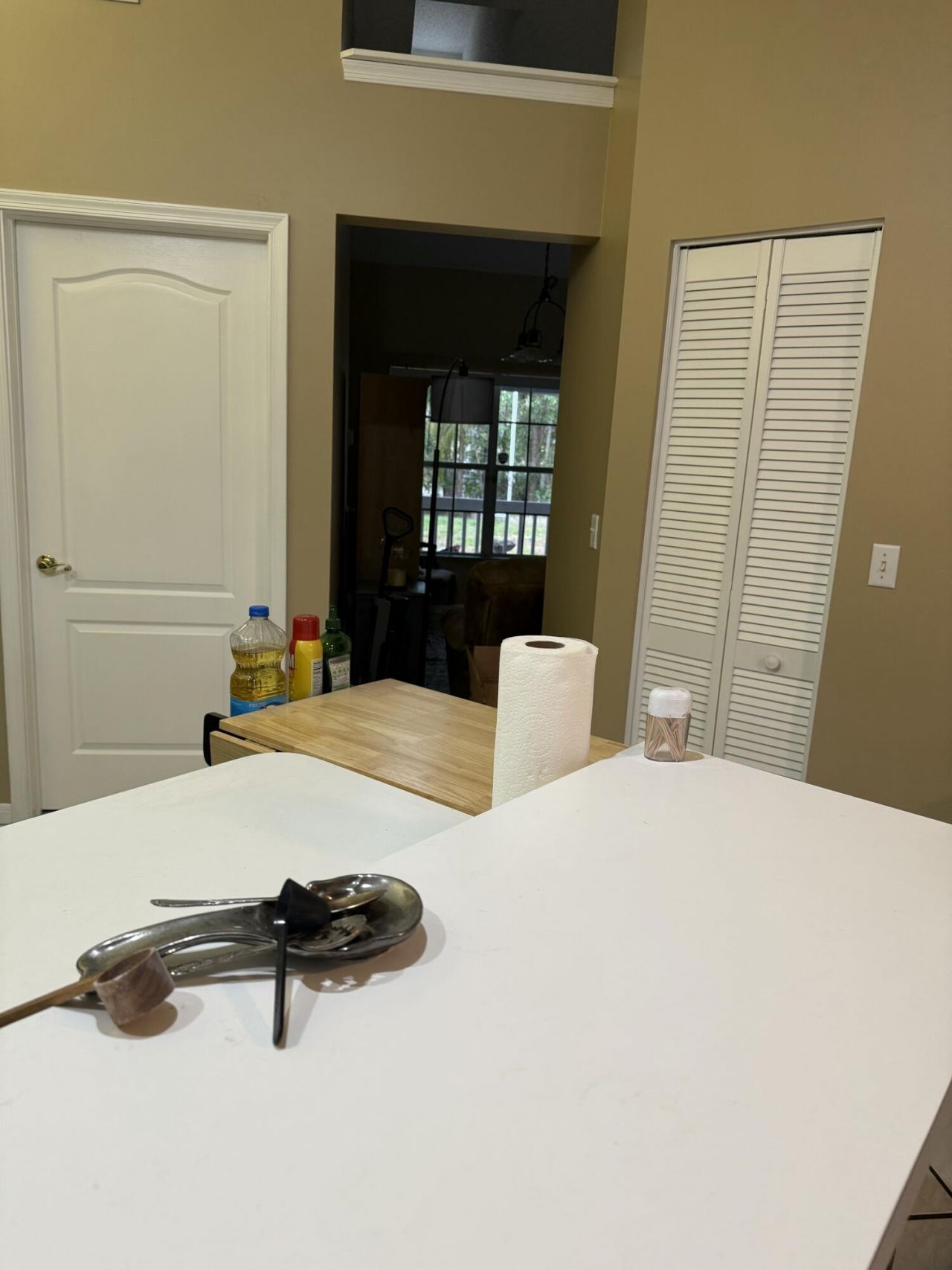 15515 N 94th St Street N, The Acreage, FL 33412 Photo