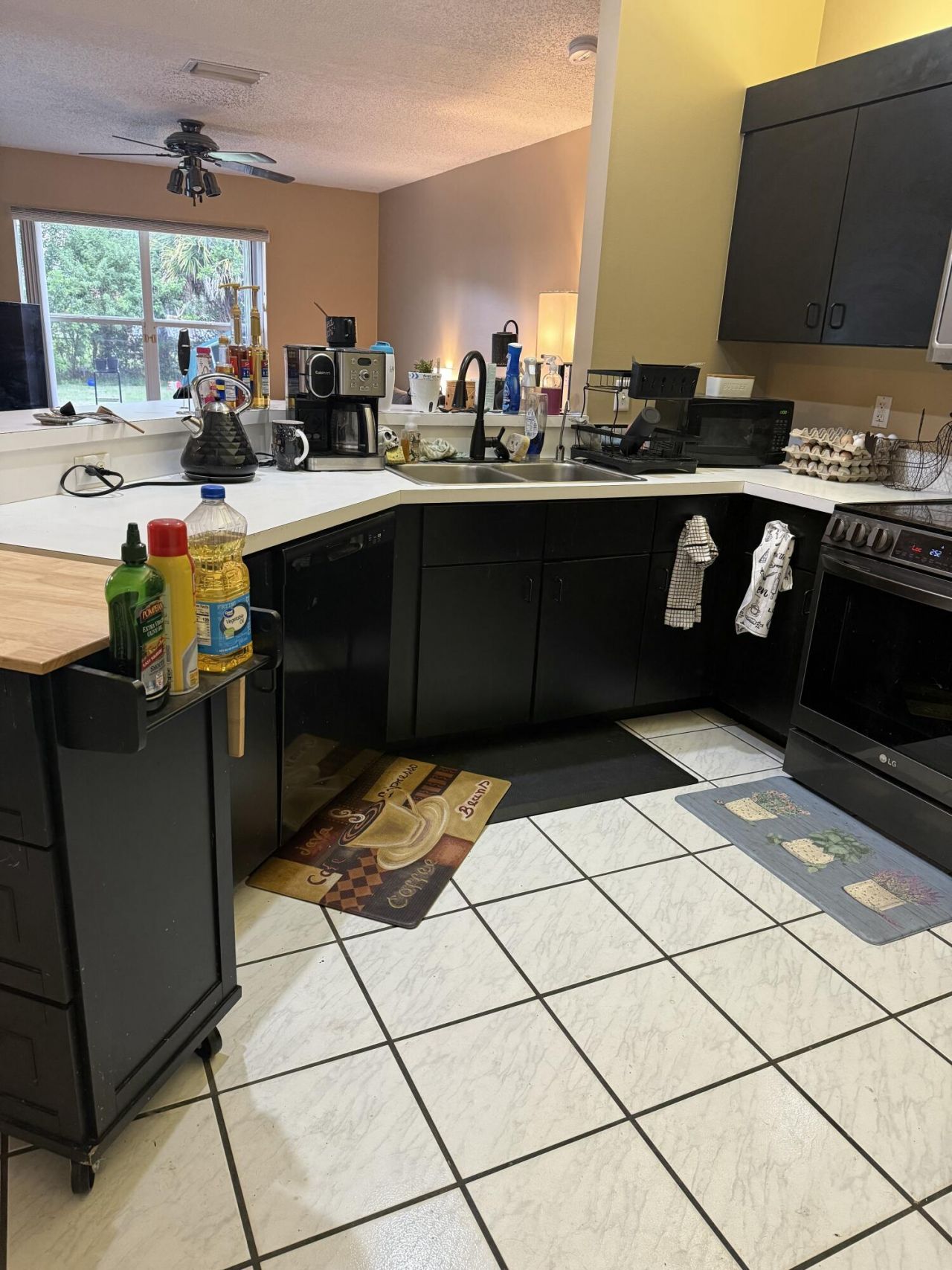 15515 N 94th St Street N, The Acreage, FL 33412 Photo