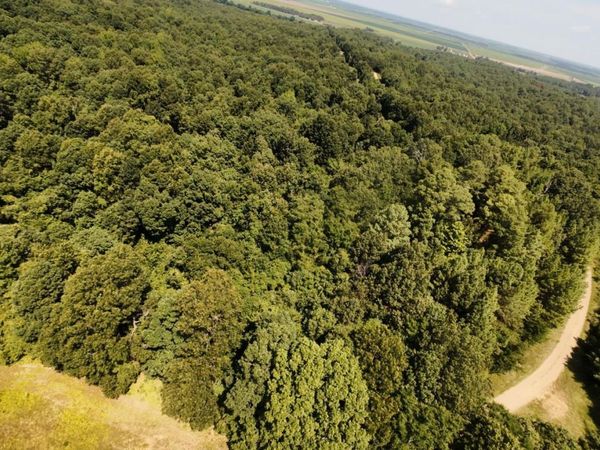 2 CR 449, Pollard, AR 72456