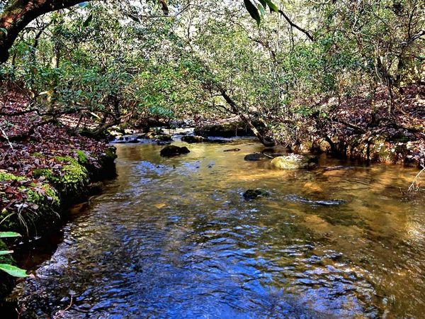 911 Spearhead Circle, Clarkrange, TN 38553