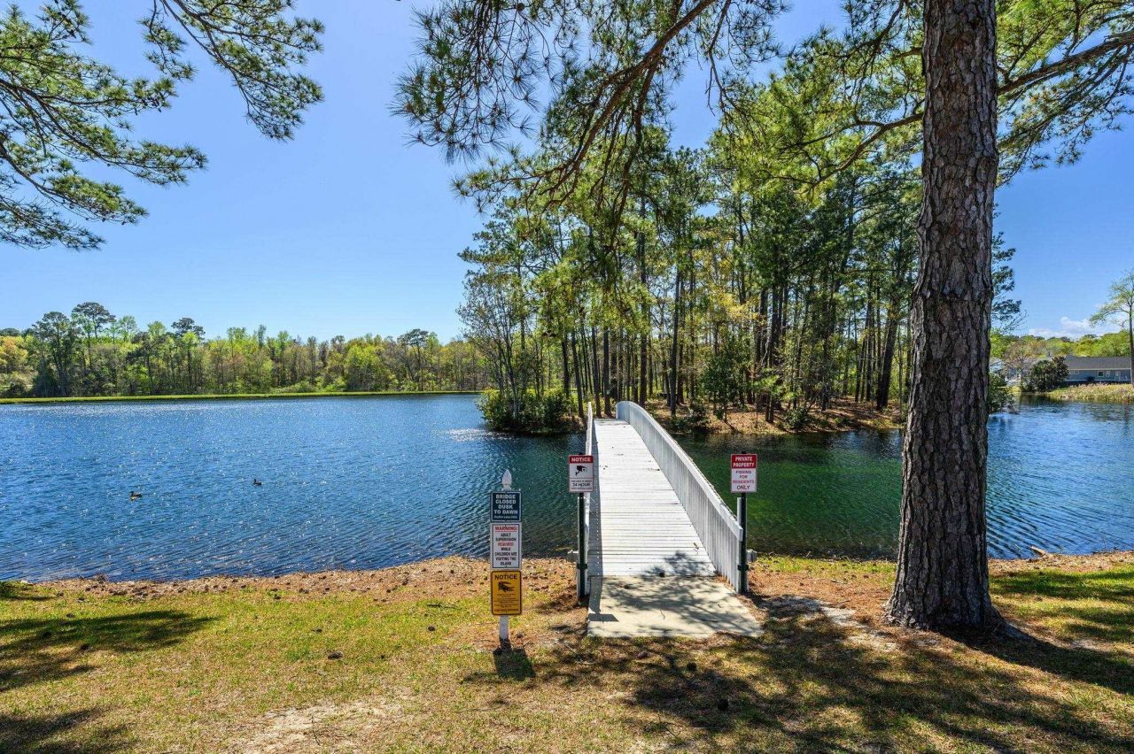 4099 Heather Lakes Dr. Photo 41