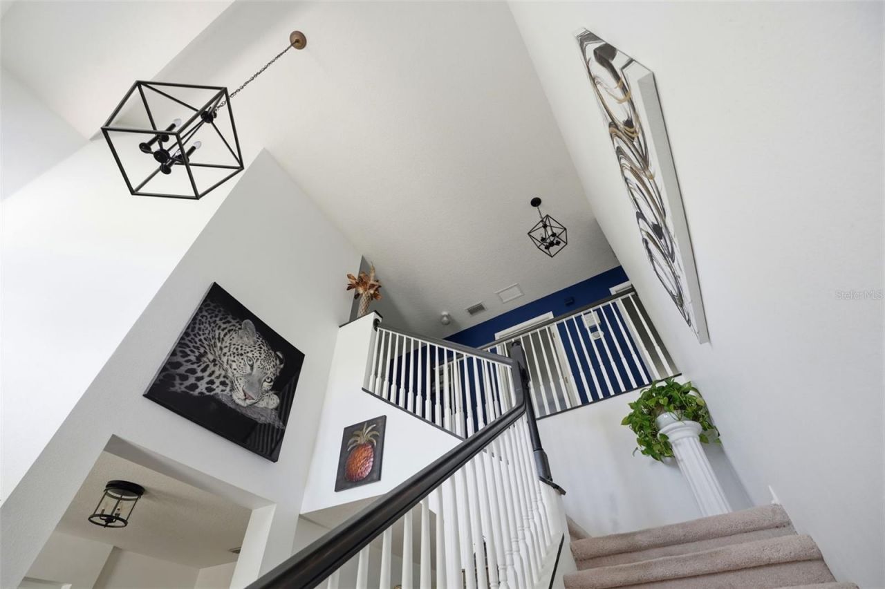 11718 Stonewood Gate Drive, Riverview, FL 33579 Photo