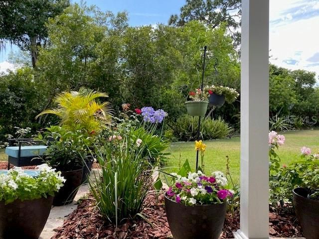 11718 Stonewood Gate Drive, Riverview, FL 33579 Photo