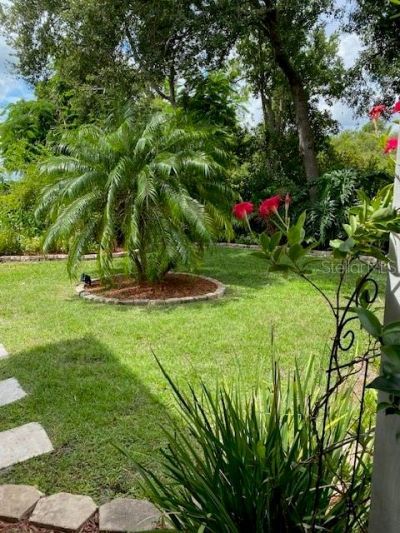 11718 Stonewood Gate Drive, Riverview, FL 33579 Photo