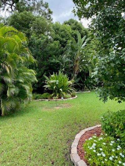 11718 Stonewood Gate Drive, Riverview, FL 33579 Photo