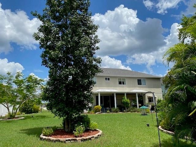 11718 Stonewood Gate Drive, Riverview, FL 33579 Photo