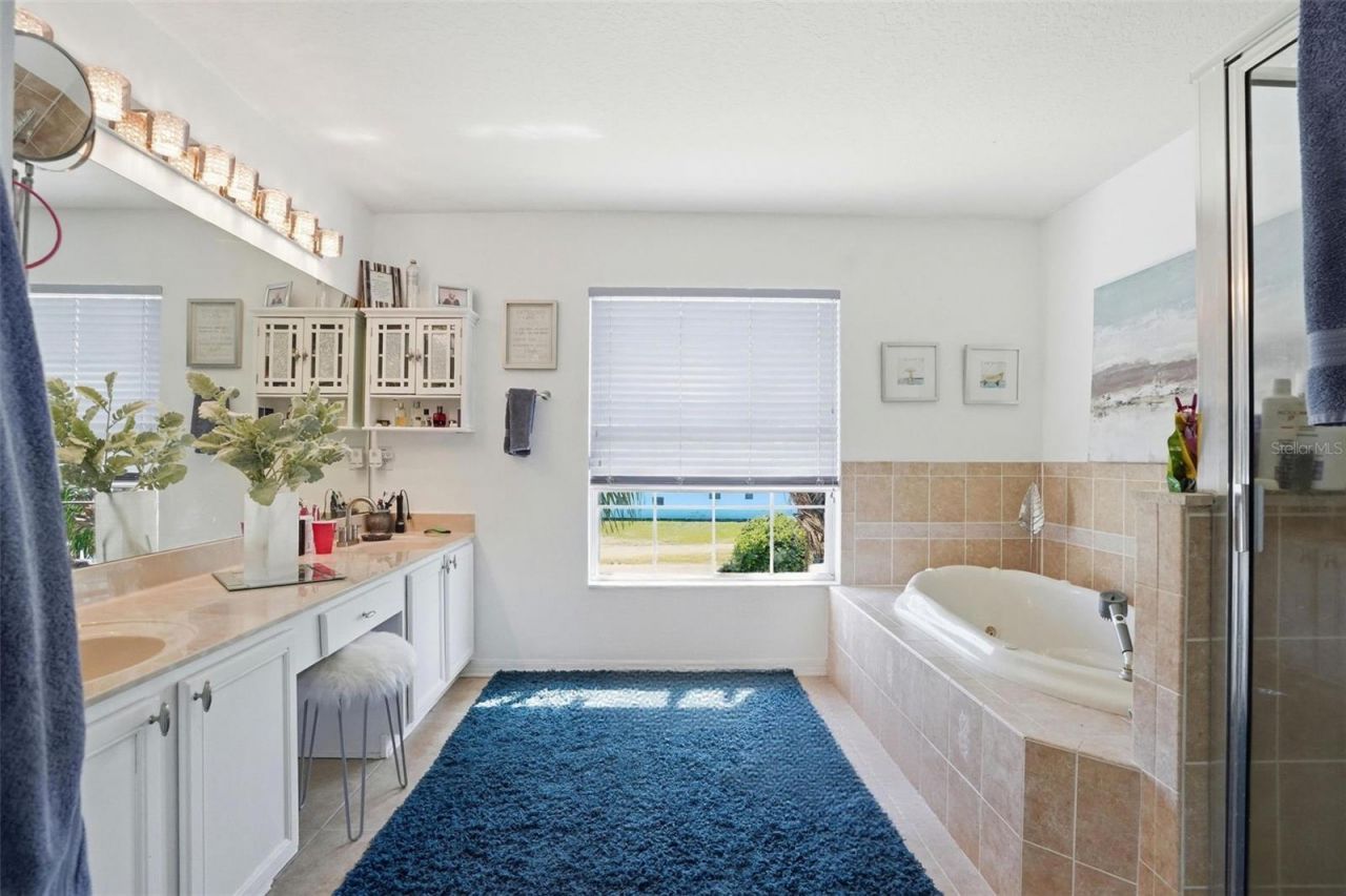 11718 Stonewood Gate Drive, Riverview, FL 33579 Photo