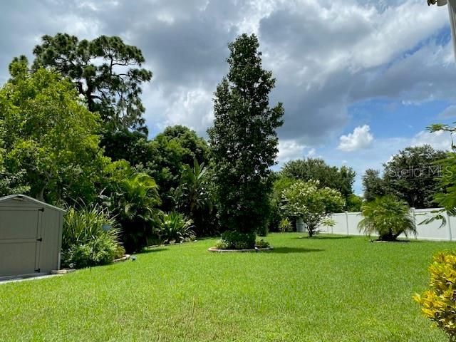 11718 Stonewood Gate Drive, Riverview, FL 33579 Photo