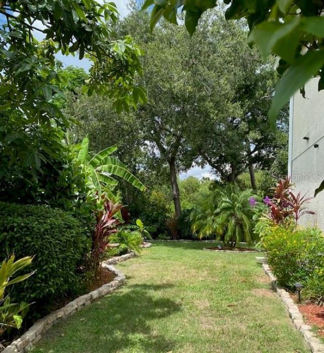 11718 Stonewood Gate Drive, Riverview, FL 33579 Photo