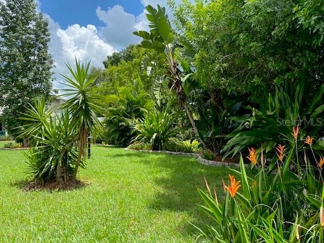 11718 Stonewood Gate Drive, Riverview, FL 33579 Photo