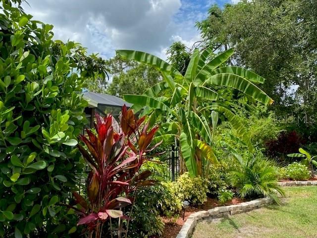 11718 Stonewood Gate Drive, Riverview, FL 33579 Photo