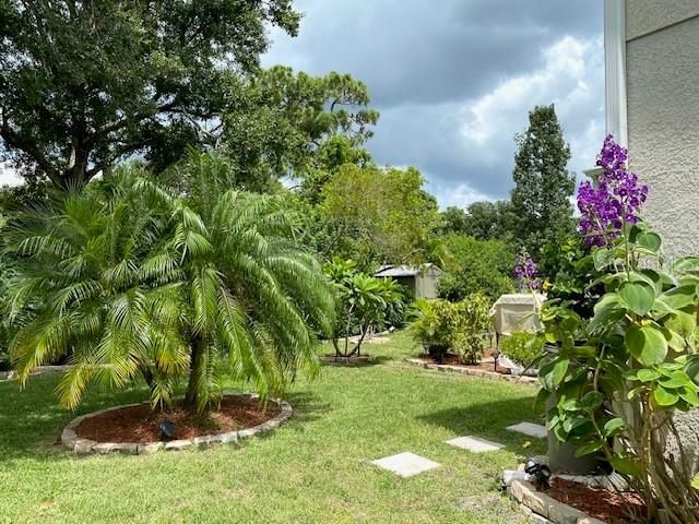 11718 Stonewood Gate Drive, Riverview, FL 33579 Photo