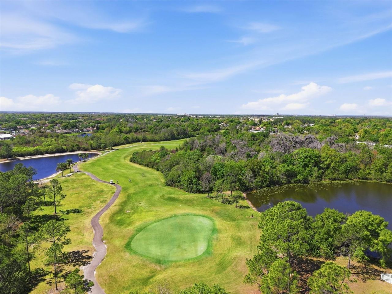 11718 Stonewood Gate Drive, Riverview, FL 33579 Photo