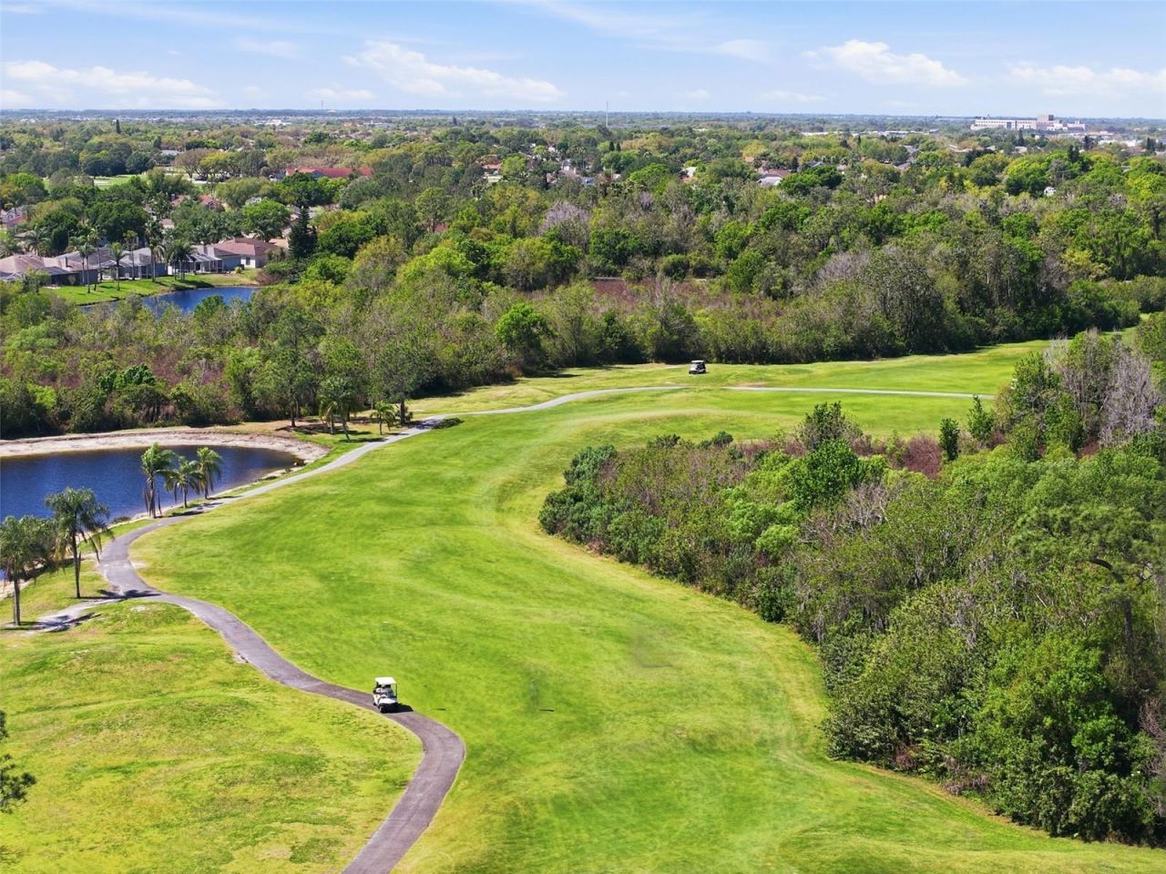 11718 Stonewood Gate Drive, Riverview, FL 33579 Photo