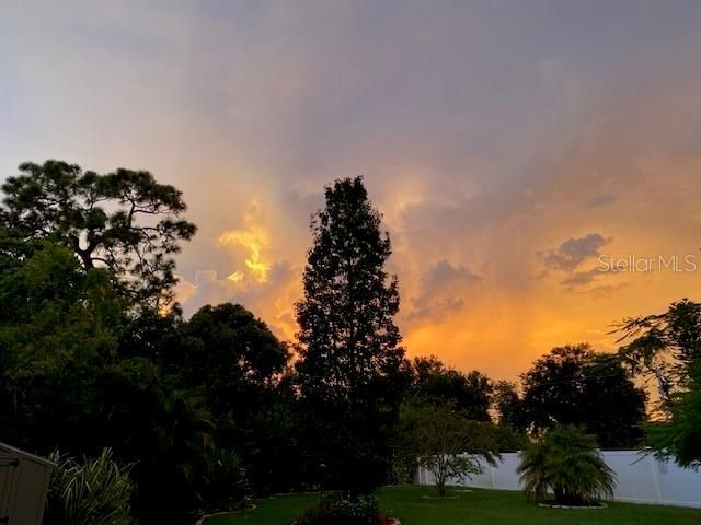 11718 Stonewood Gate Drive, Riverview, FL 33579 Photo