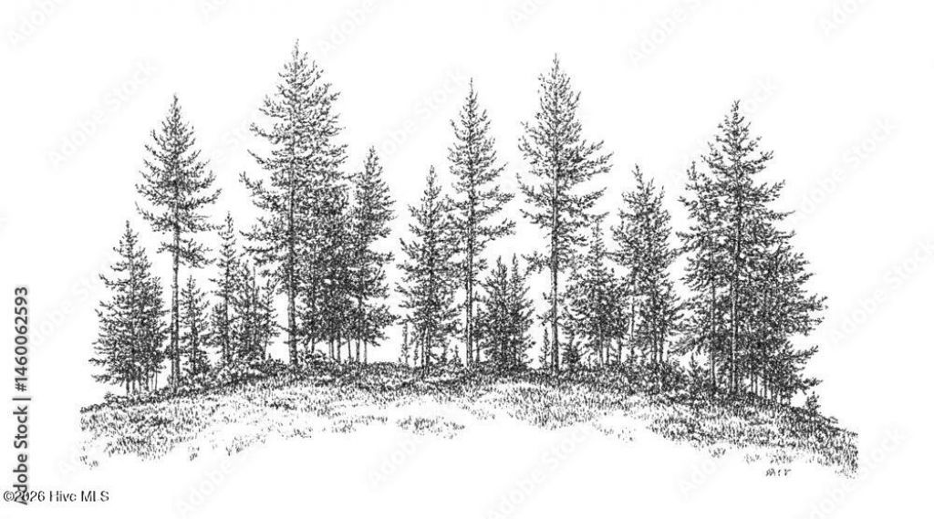 0 Longview Drive E, Wilson, NC 27893 Main Photo