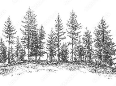 0 Longview Drive E, Wilson, NC 27893