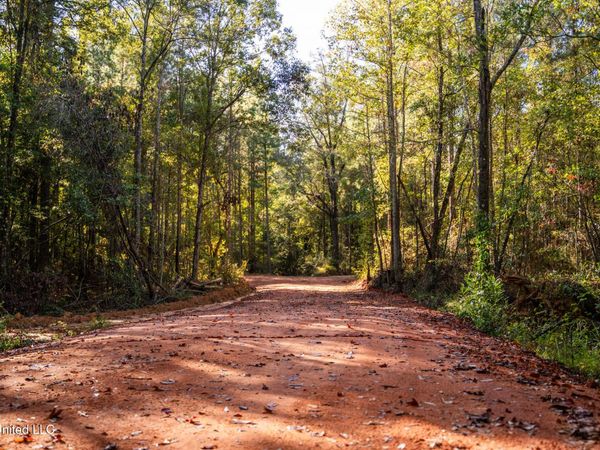 Bolin Long Creek Road, Meridian, MS 39301