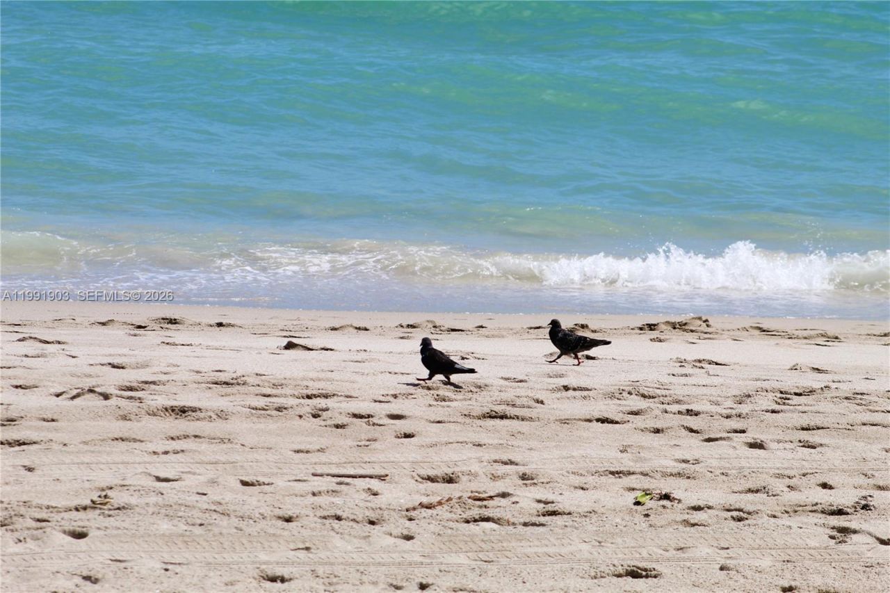 2030 S Ocean Dr , Unit 821, Hallandale Beach, FL 33009 Photo