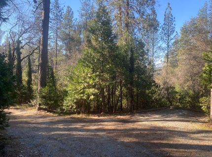 10075 Grub Creek Dr, Rough and Ready, CA 95975 Photo