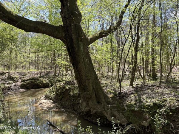 SW Auburn Drive, Bogue Chitto, MS 39629