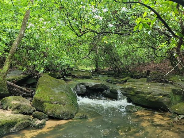 911 Spearhead Cir , Clarkrange, TN 38553