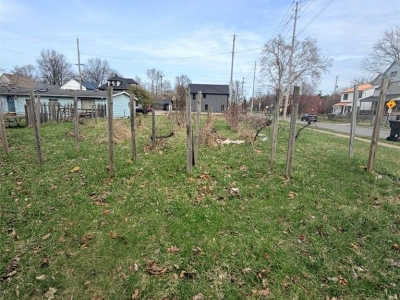 1426 E 115th Street, Cleveland, OH 44106 Photo 4