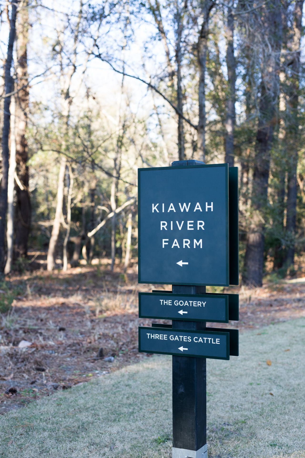 8035 Jack Island Drive Photo 57