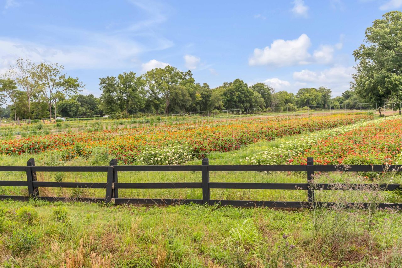 8035 Jack Island Drive Photo 58