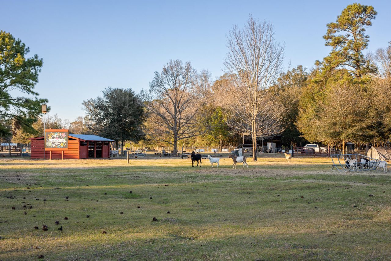 8035 Jack Island Drive Photo 61