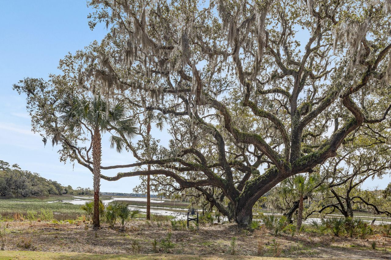 8035 Jack Island Drive Photo 65