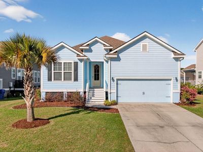 377 Turnstone Street, Mount Pleasant, SC 29464