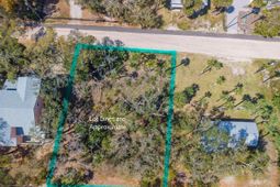 307 Jungle Road photo 4