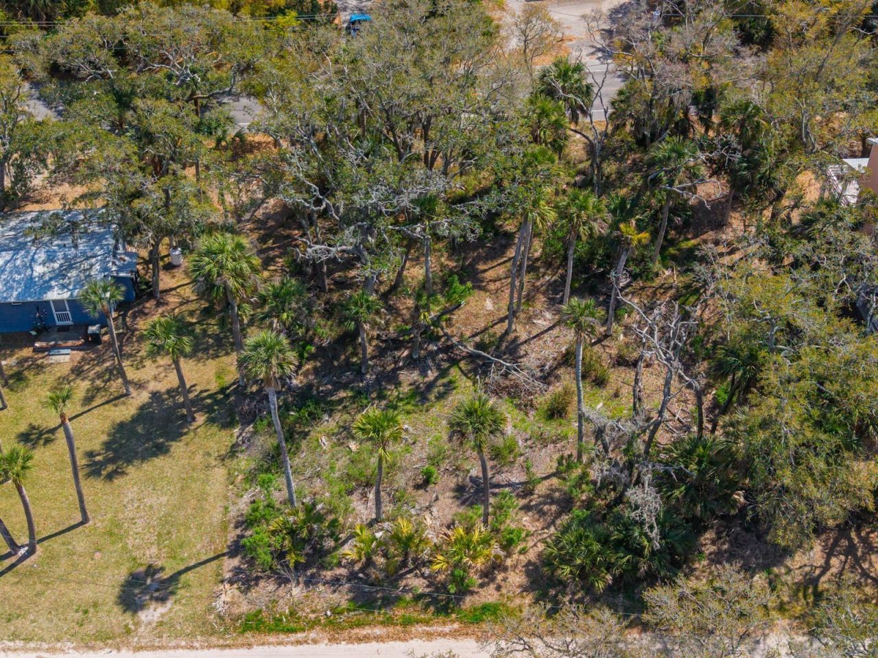 307 Jungle Road Photo 4