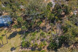 307 Jungle Road photo 4